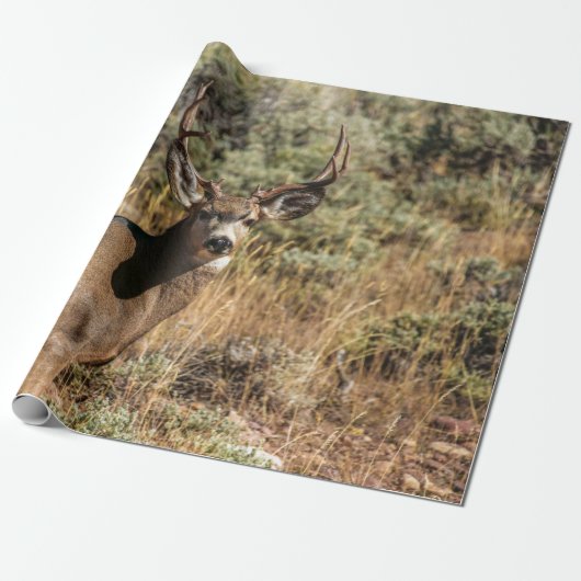 WILDE FOTOGRAFIE VAN DE BROWN BUCK CADEAUPAPIER (Uitgerold)