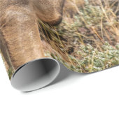 WILDE FOTOGRAFIE VAN DE BROWN BUCK CADEAUPAPIER (Rol Hoek)