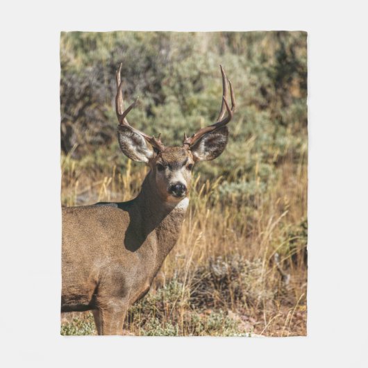 WILDE FOTOGRAFIE VAN DE BROWN BUCK FLEECE DEKEN (Voorkant)