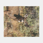 WILDE FOTOGRAFIE VAN DE BROWN BUCK FLEECE DEKEN (Voorkant (Horizontaal))