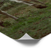 Wilde fotografie Wilde paarden Poster 18x24 (Hoek)