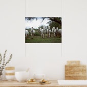 Wilde fotografie Wilde paarden Poster 18x24 (Keuken)