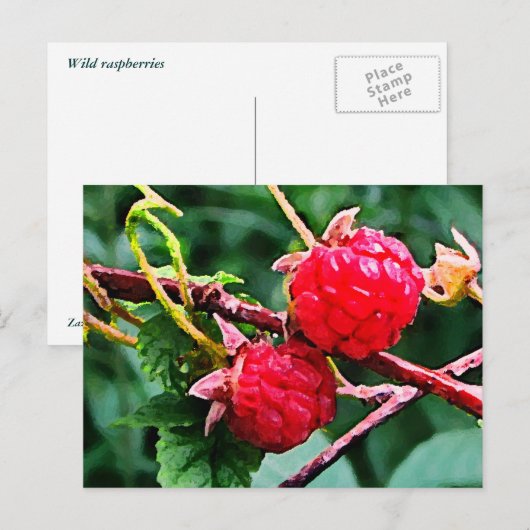 Wilde frambozen briefkaart (Voorkant / Achterkant)