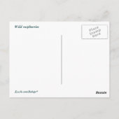 Wilde frambozen briefkaart (Achterkant)