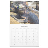 wilde galapagos 2026 kalender (Jan 2027)