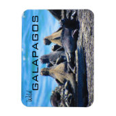 wilde galapagos iguanas magneet (Verticaal)