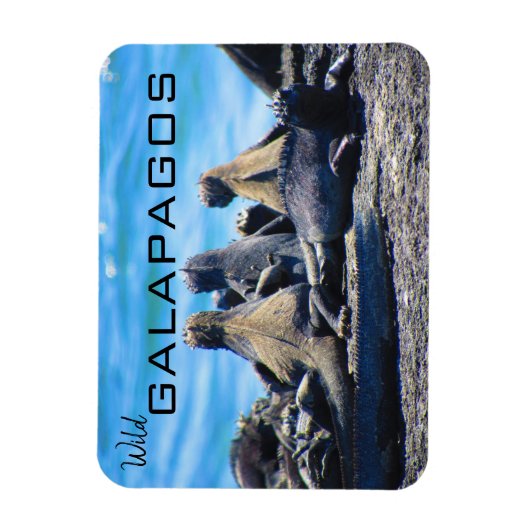 wilde galapagos iguanas magneet (Verticaal)