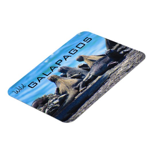 wilde galapagos iguanas magneet (Linkerzijde)