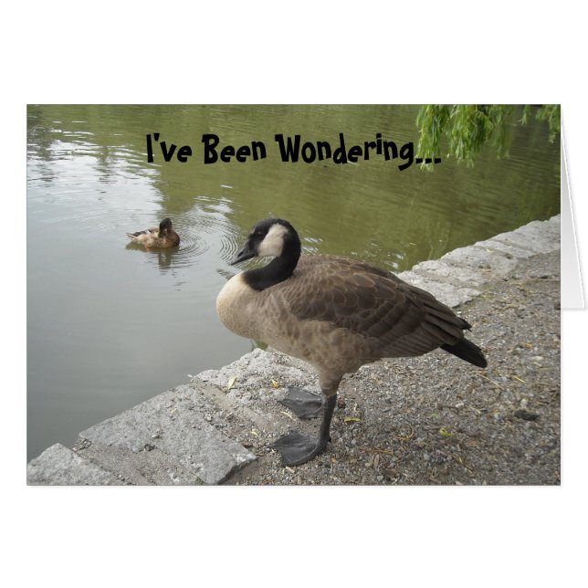 Wilde Gans (Voorkant Horizontaal)