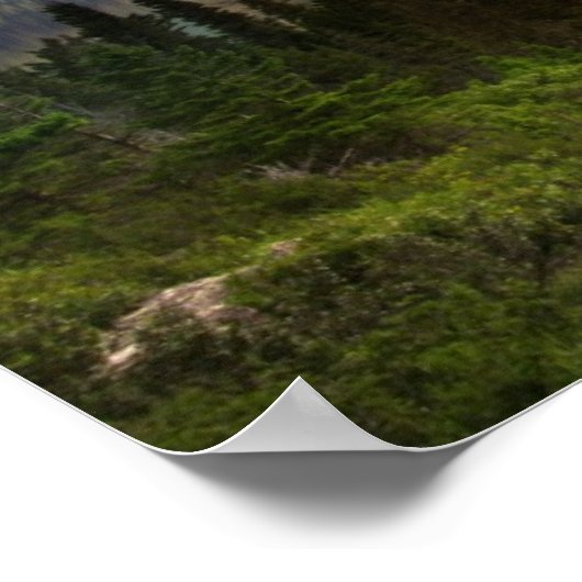 Wilde gans eiland in het nationaal park Glacier Poster (Hoek)