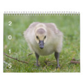 Wilde ganzen 2015 - Goose Calendar Kalender (Hoes)