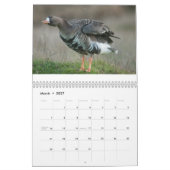 Wilde ganzen 2015 - Goose Calendar Kalender (Mar 2027)