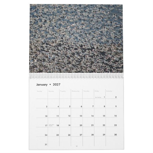 Wilde ganzen 2015 - Goose Calendar Kalender (Jan 2027)