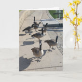 "Wilde Ganzen Jacht" Dankkaart Kaart (Gele Bloem)