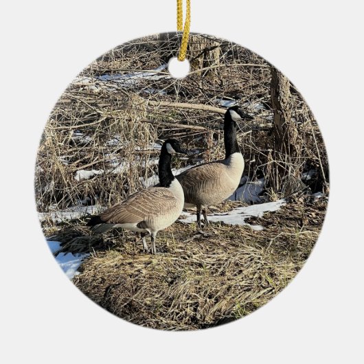 Wilde Ganzen Ornament (Voorkant)