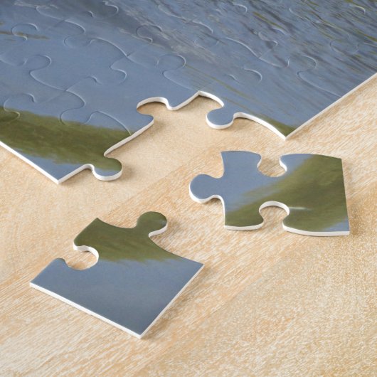 Wilde ganzen zwemmen in het meer, watercirkel legpuzzel (Zijkant)