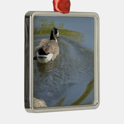 Wilde ganzen zwemmen in het meer, watercirkel metalen ornament (Rechts)