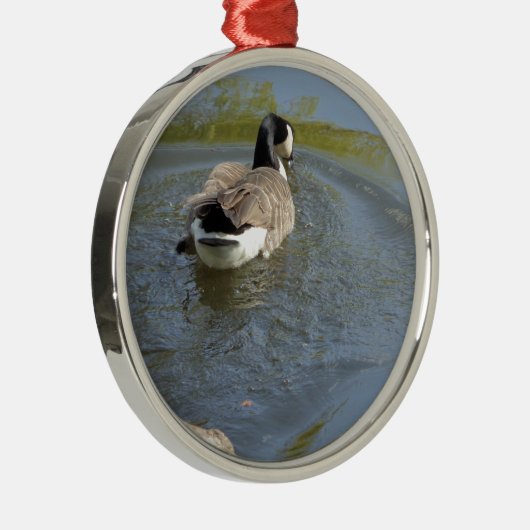 Wilde ganzen zwemmen in het meer, watercirkel metalen ornament (Rechts)