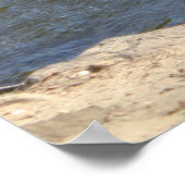 Wilde ganzen zwemmen in het meer, watercirkel poster (Hoek)