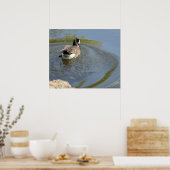Wilde ganzen zwemmen in het meer, watercirkel poster (Keuken)