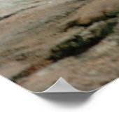 Wilde geiten poster (Hoek)