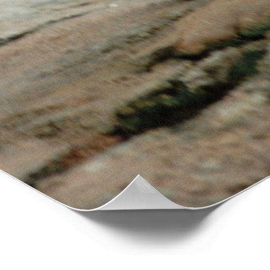 Wilde geiten poster (Hoek)