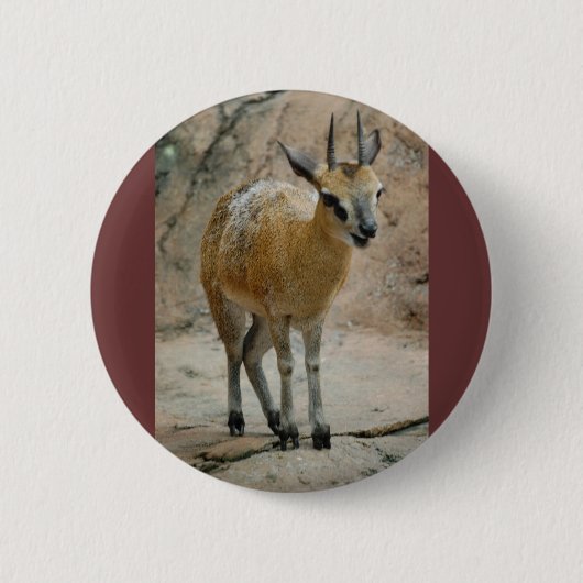 Wilde geiten ronde button 5,7 cm (Voorkant)