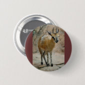 Wilde geiten ronde button 5,7 cm (Voorkant /achterkant)