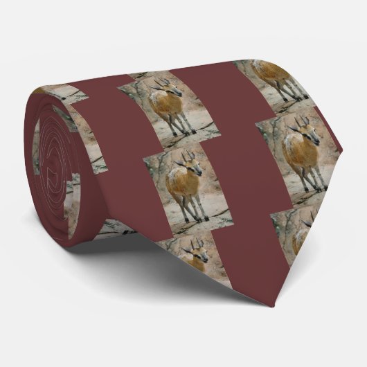 Wilde geiten stropdas (Opgerold)