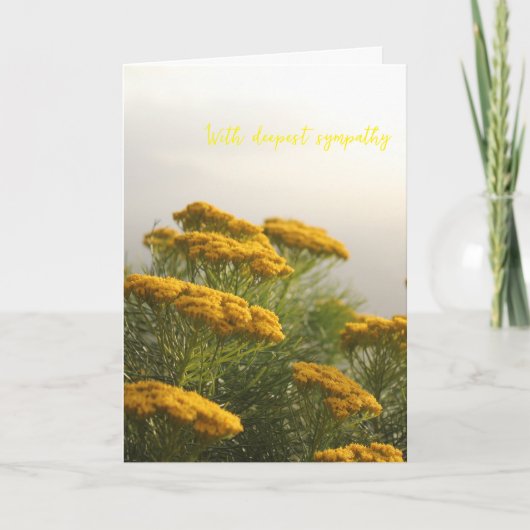 Wilde Gele Bloemen Zuid-Afrika Nevelig Weer Kaart (Voorkant)