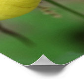 Wilde Gele Dame Slipper Orchid Flower Poster (Hoek)