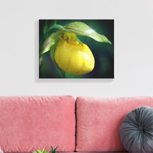 Wilde Gele Dame Slipper Orchid Sluiten Canvas Afdruk (Insitu (Woonkamer))