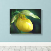 Wilde Gele Dame Slipper Orchid Sluiten Canvas Afdruk (Insitu (Houten vloer))