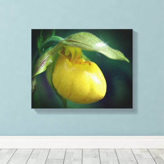 Wilde Gele Dame Slipper Orchid Sluiten Canvas Afdruk (Insitu (Houten vloer))