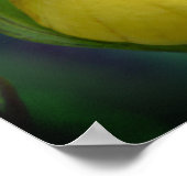 Wilde Gele Dame Slipper Orchid Sluiten Poster (Hoek)