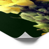 Wilde gele mullein-bloem poster (Hoek)