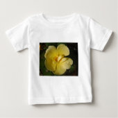 Wilde Gele Rose (Voorkant)