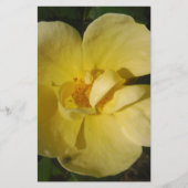 Wilde Gele Rose Briefpapier (Voorkant)