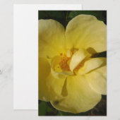 Wilde Gele Rose Briefpapier (Voorkant / Achterkant)