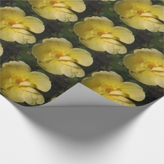 Wilde Gele Rose Cadeaupapier (Hoek)