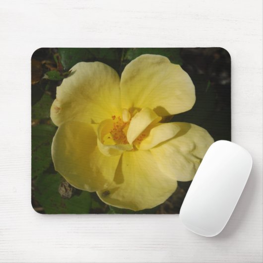 Wilde Gele Rose Muismat (Met muis)