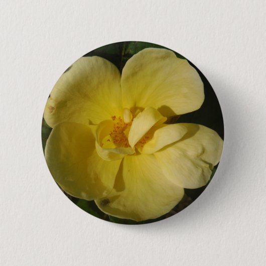 Wilde Gele Rose Ronde Button 5,7 Cm (Voorkant)