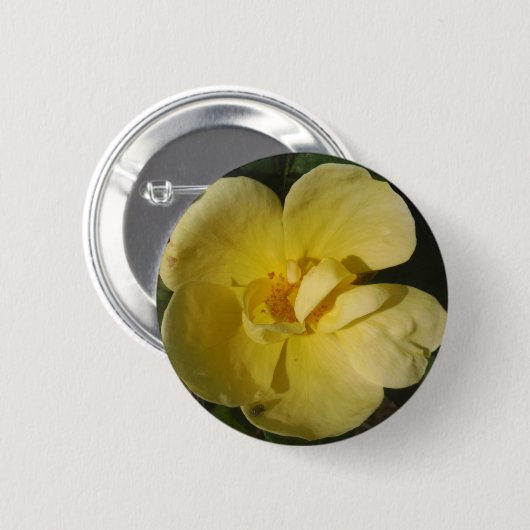 Wilde Gele Rose Ronde Button 5,7 Cm (Voorkant /achterkant)