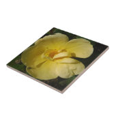 Wilde Gele Rose Tegeltje (Zijkant)