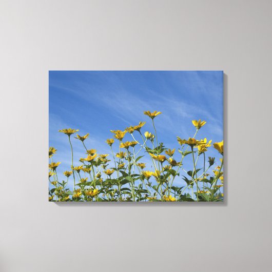 Wilde Gele Zonnebloemen en Blue Sky Canvas Afdruk (Voorkant)