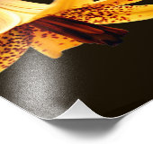 Wilde gevlekte Canadese leliebloem 8x10 Foto Afdruk (Hoek)