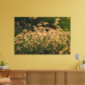 Wilde gier (Panicum Sp.) Teelt in wetland Canvas Afdruk (Insitu (Woonkamer))