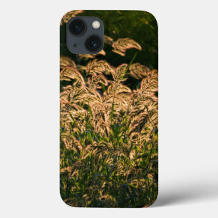 Wilde gier (Panicum Sp.) Teelt in wetland Case-Mate iPhone Case