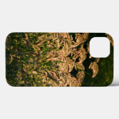 Wilde gier (Panicum Sp.) Teelt in wetland Case-Mate iPhone Case (Achterkant (horizontaal))