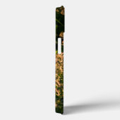 Wilde gier (Panicum Sp.) Teelt in wetland Case-Mate iPhone Case (Achterkant / Rechts)